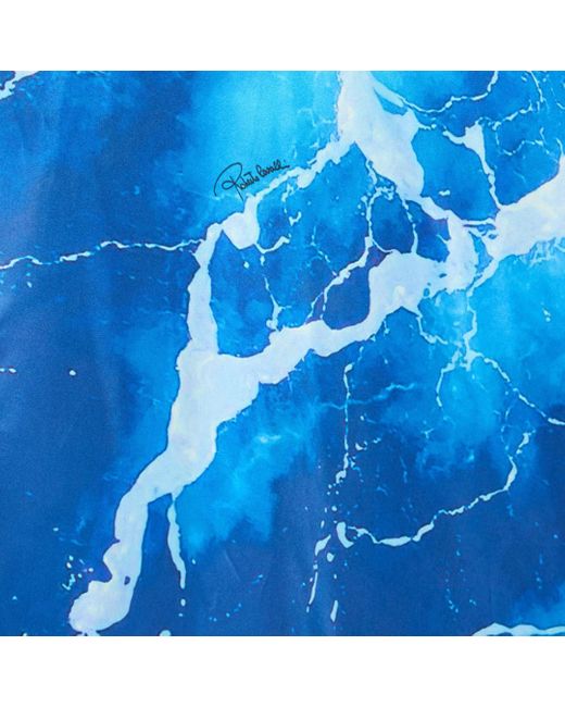 Roberto Cavalli Blue Stretto Di Messina Print Long Dress