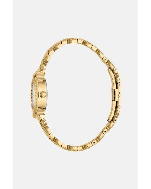 Roberto Cavalli Metallic By Franck Muller Snake Core Watch
