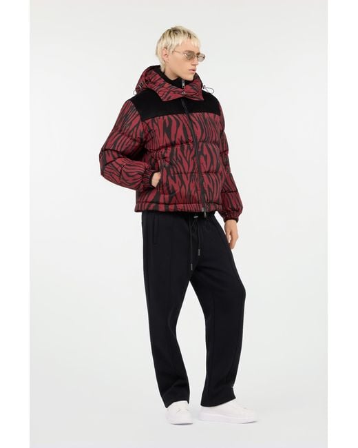 Roberto Cavalli Red Zebra Print Down Jacket for men