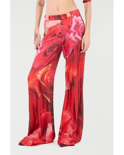 Pantalones Con Estampado De Rosas Roberto Cavalli de color Red
