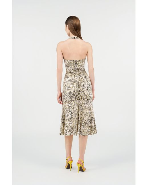 Roberto Cavalli White Pop Jaguar Print Midi Dress