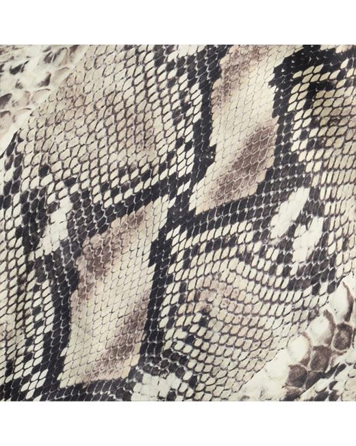 Top De Seda Con Estampado Python Roberto Cavalli de color White