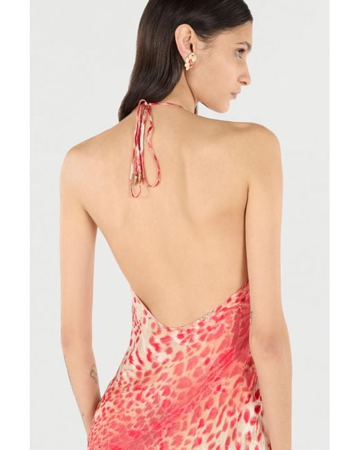 Roberto Cavalli Pink Mini Dress With Jaguar Skin Print