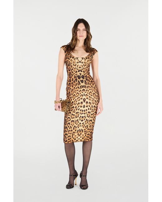 Roberto Cavalli Metallic Midi Dress With Jaguar Skin Print