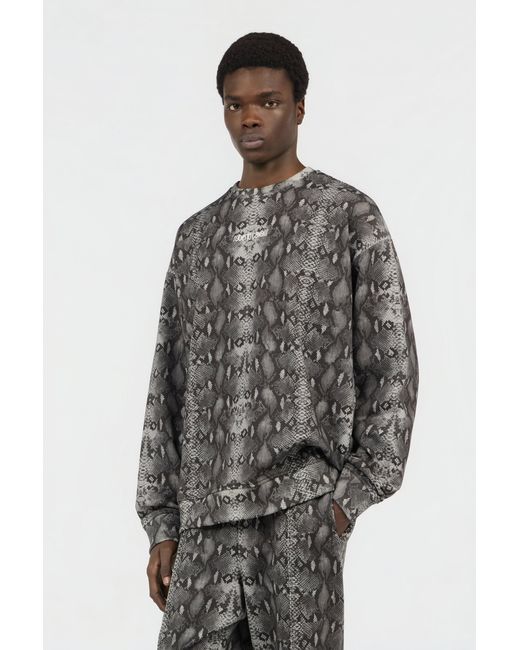Roberto Cavalli Sweatshirt Mit Python-Print in Gray für Herren