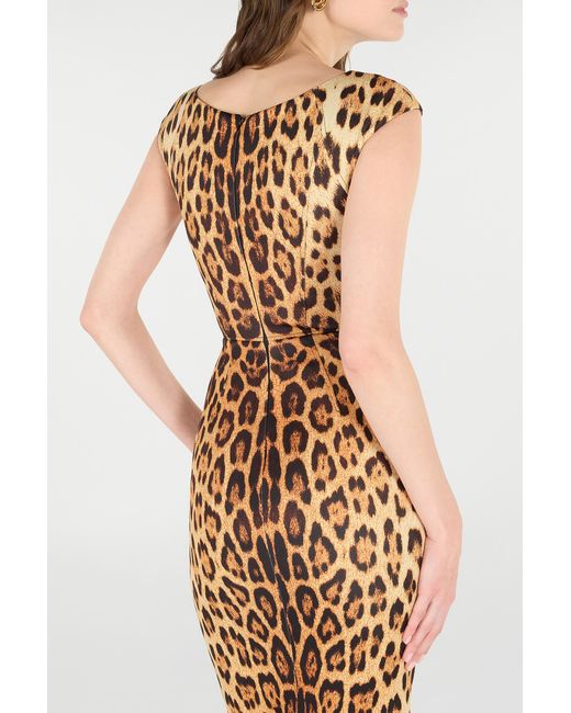Roberto Cavalli Metallic Midi Dress With Jaguar Skin Print