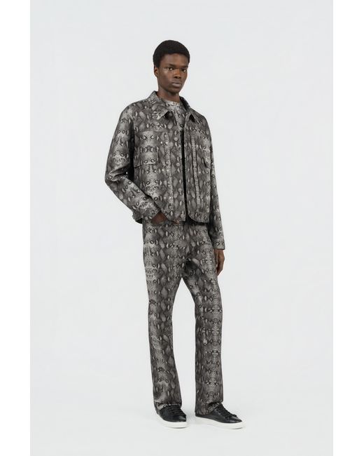 Roberto Cavalli Denim-Jeans Mit Python-Print in Gray für Herren