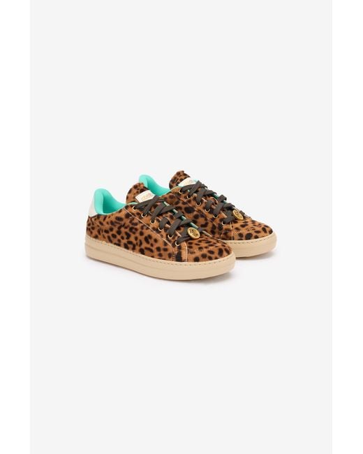 Roberto Cavalli Multicolor Sneakers With Jaguar Skin Print