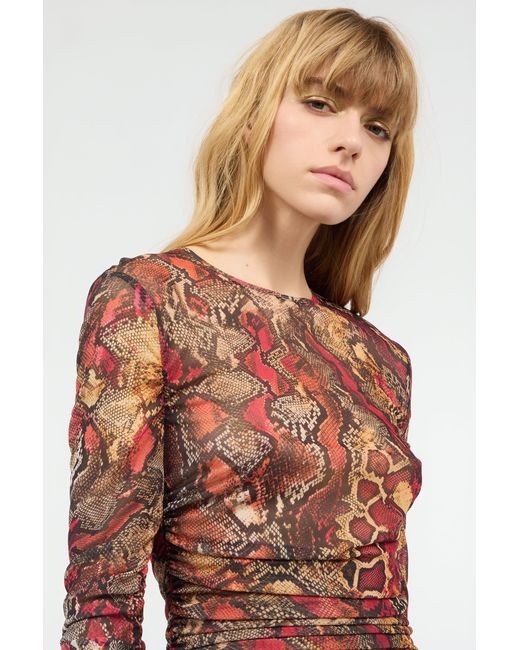 Roberto Cavalli White Sweater With Python Print