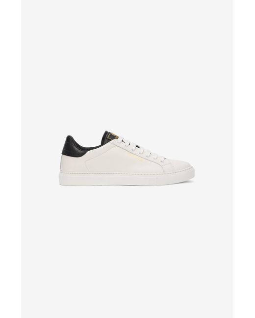 Roberto Cavalli Multicolor Low Top Sneakers for men