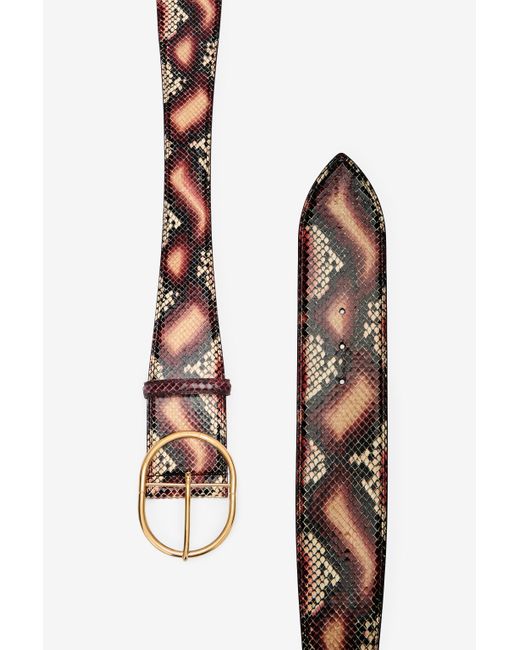 Cinturón Perfilado De Piel Gofrada Roberto Cavalli de color Multicolor