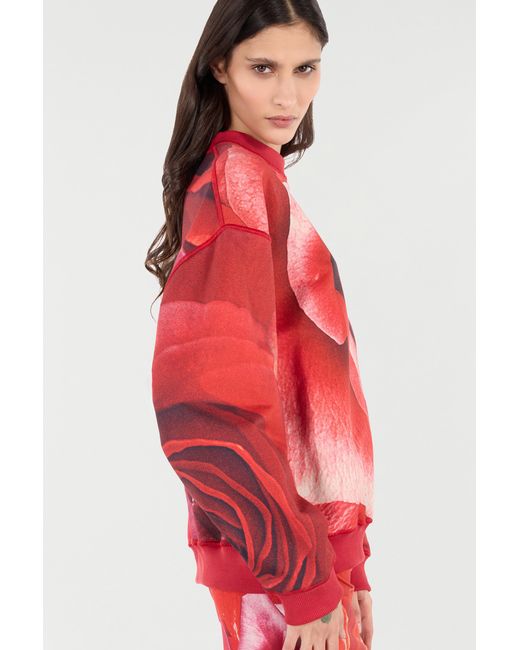 Roberto Cavalli Red Sweatshirt With Maxi-Rose Print