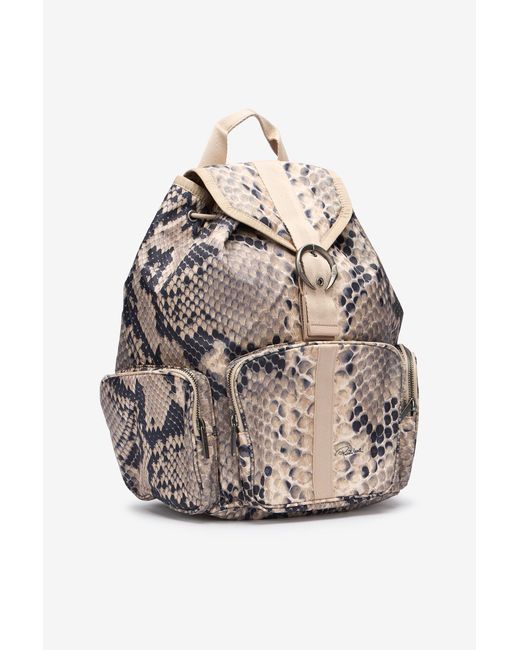 Roberto Cavalli Gray Napoli Python Backpack