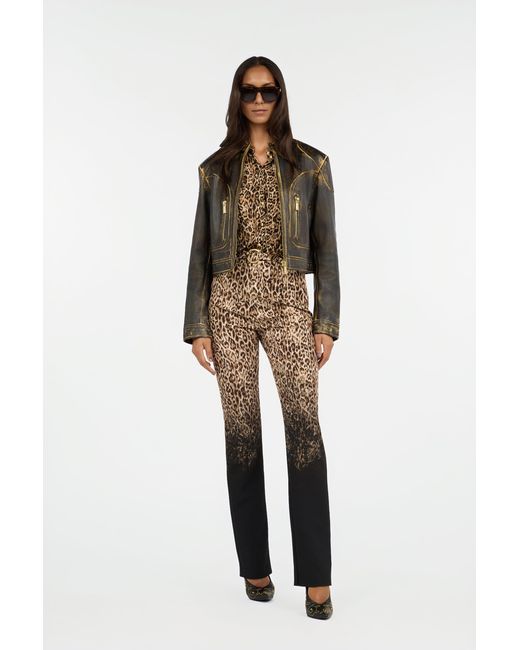 Roberto Cavalli Multicolor Leopard Print Trousers