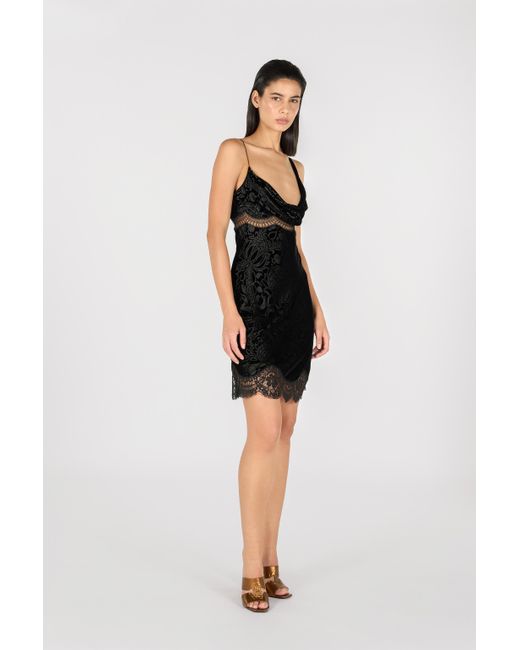 Roberto Cavalli Black Mini Dress With Lace