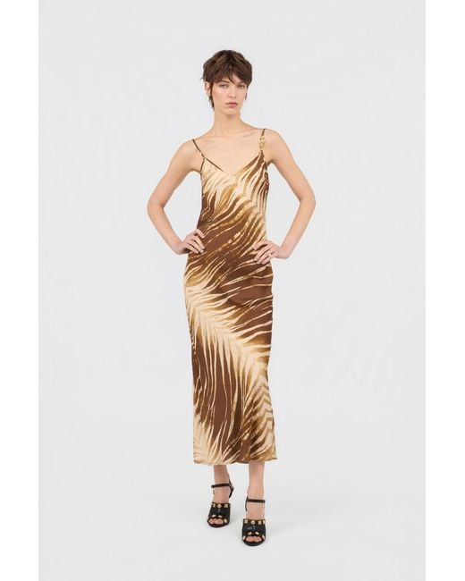 Roberto Cavalli Metallic Natural Barb Print Dress