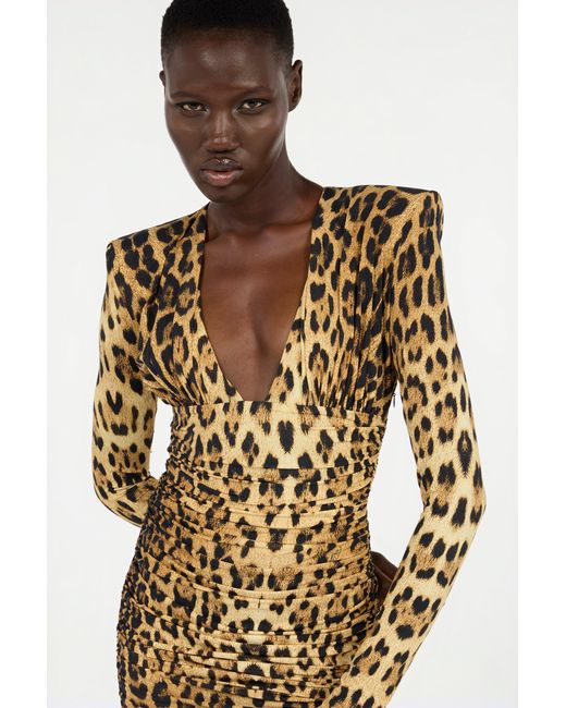 Roberto Cavalli Brown Midi Dress With Jaguar Skin Print