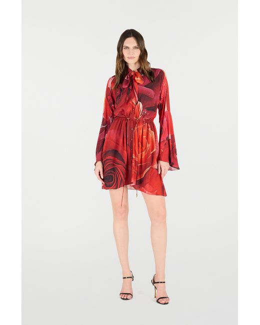 Roberto Cavalli Red Rose-Print Mini Dress With Pussy-Bow