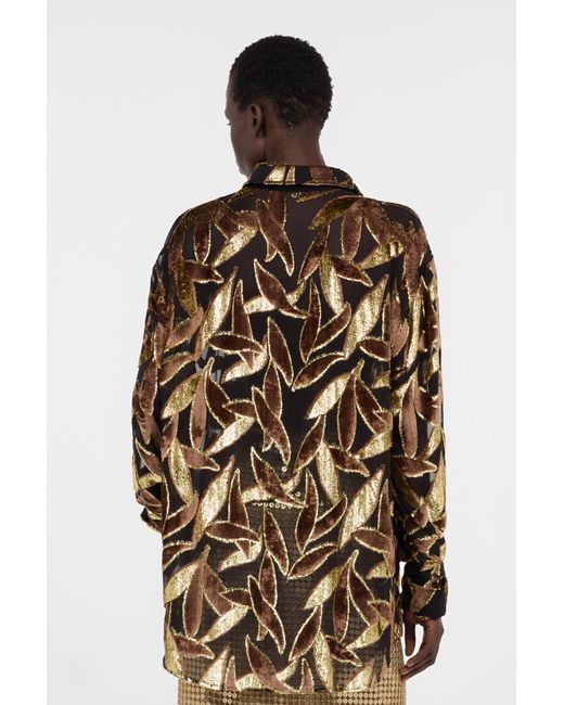 Roberto Cavalli Brown Chocolate Sheer Shirt With Foliage Motif