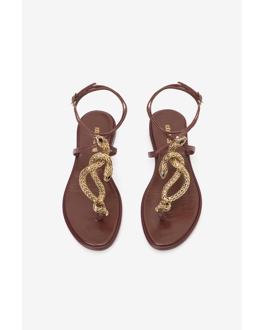 Roberto Cavalli Multicolor Flat Thong Sandals With Snake Motif