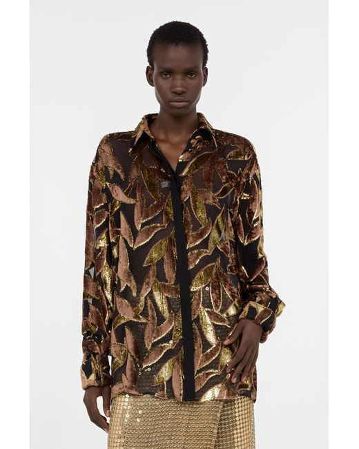 Roberto Cavalli Brown Chocolate Sheer Shirt With Foliage Motif