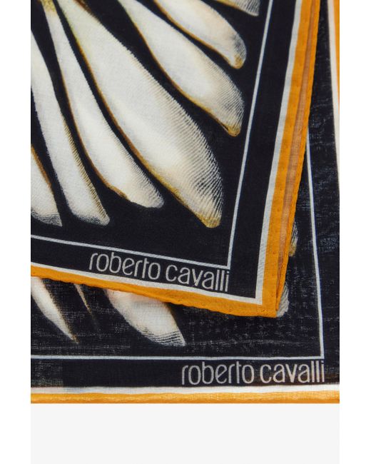 Sciarpa Con Stampa Ray Of di Roberto Cavalli in Black