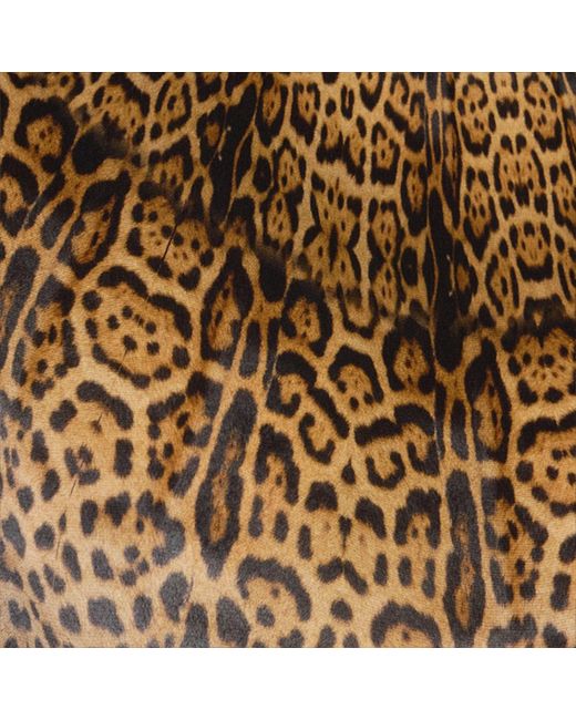 Roberto Cavalli Natural Long Silk Dress With Jaguar Skin Print