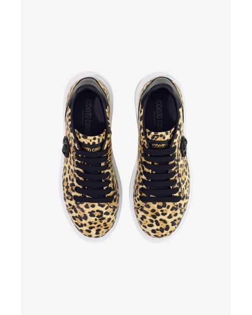 Roberto Cavalli Multicolor Low-Top Sneakers With Jaguar Print