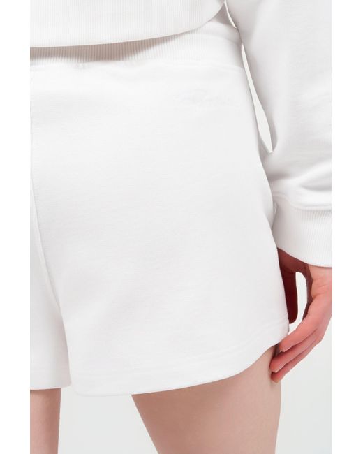 Roberto Cavalli Blue Roar Shorts