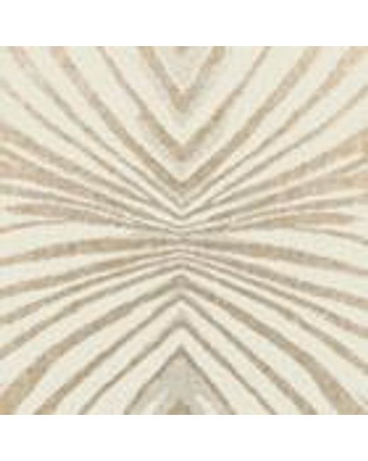 Asciugamano Con Stampa Ray Of di Roberto Cavalli in Natural