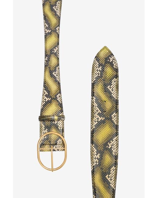Roberto Cavalli Multicolor Shaped Belt