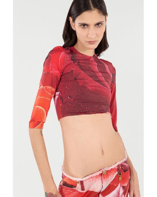 Roberto Cavalli Red Rose-Print Crop Top