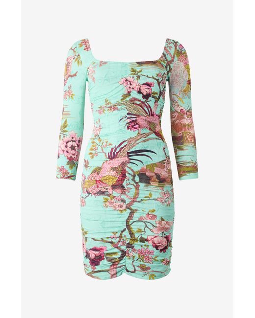 Roberto Cavalli White Mini Dress With Oriental Bird Print