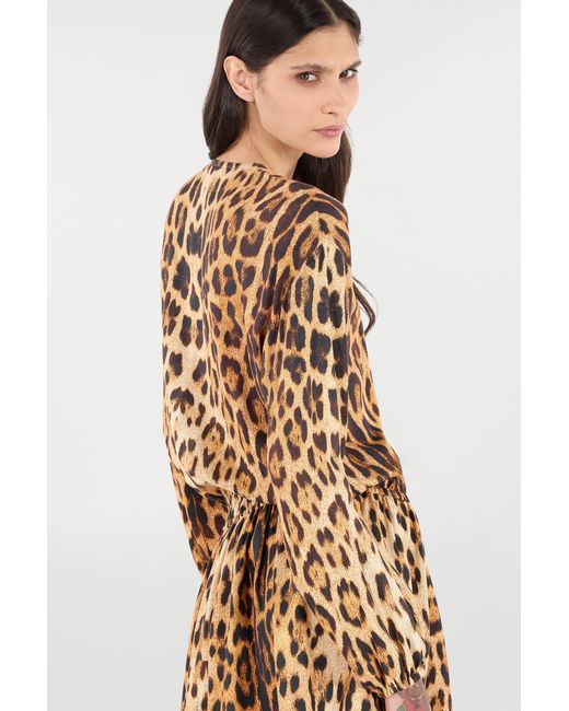 Roberto Cavalli Brown Short Dress With Jaguar Skin Print