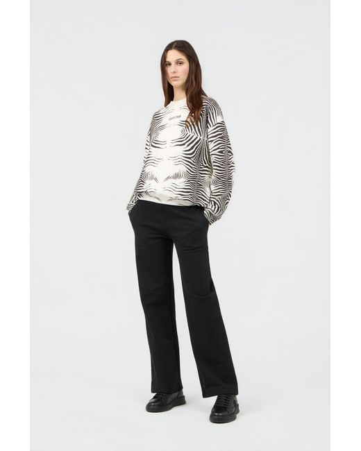 Roberto Cavalli Multicolor Zebra Print Sweatshirt