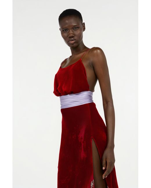 Roberto Cavalli Red Long Dark Dress With Marine Print