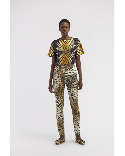 Roberto Cavalli Multicolor T-Shirt With Ray Of Print