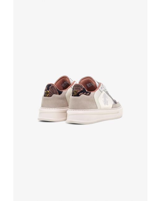Roberto Cavalli Multicolor Low-Top Sneakers