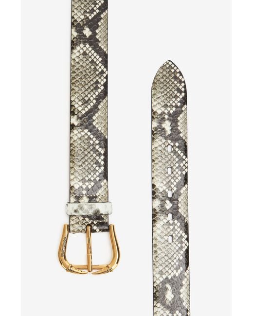 Roberto Cavalli Multicolor Belt With Fang Buckle