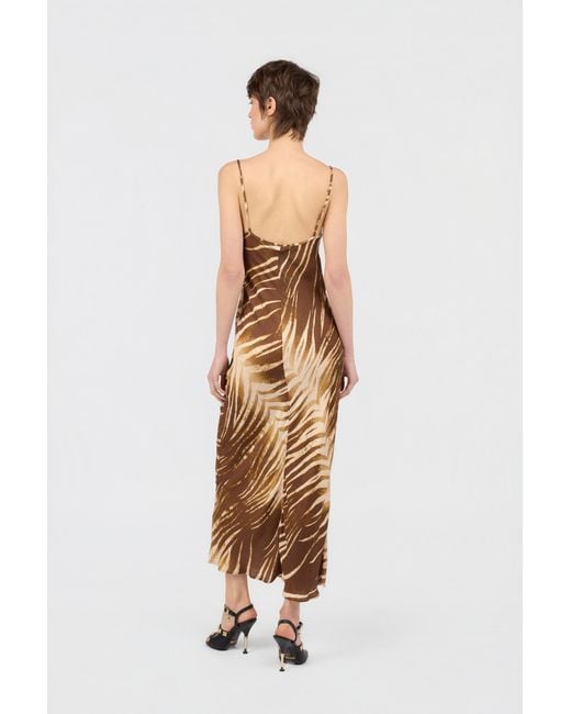 Roberto Cavalli Metallic Natural Barb Print Dress