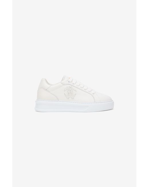 Baskets Avec Monogram Rc Roberto Cavalli en coloris Multicolor