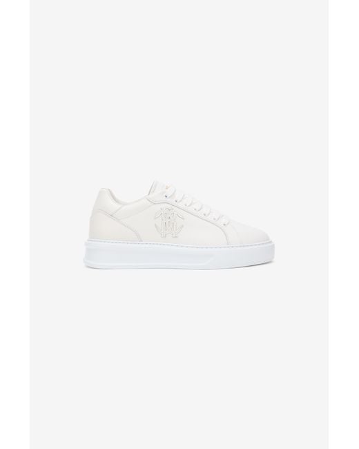 Roberto Cavalli Multicolor Sneaker With Monogram Rc
