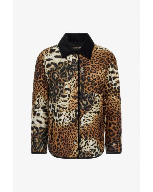 Roberto Cavalli Brown Leopard Printed Jacket