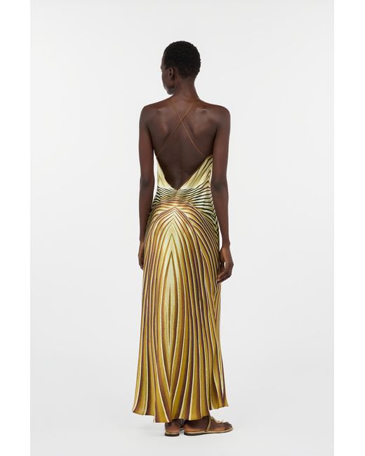 Roberto Cavalli Metallic Long Silk Dress With Iside Print