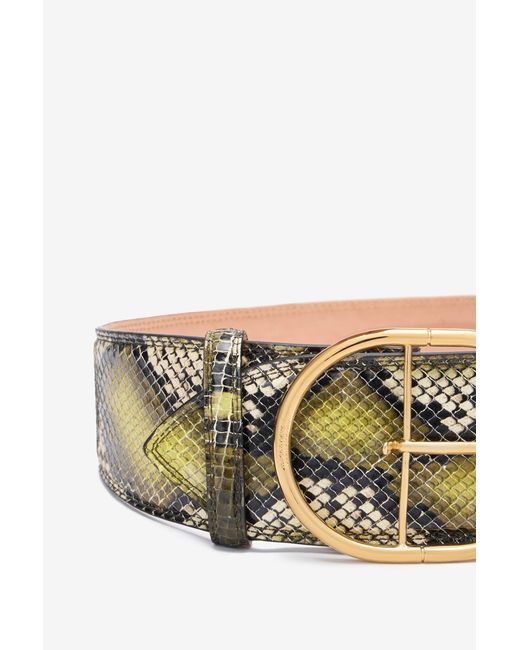 Roberto Cavalli Multicolor Shaped Belt