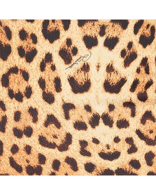 Roberto Cavalli Natural Pencil Skirt With Jaguar Skin Print