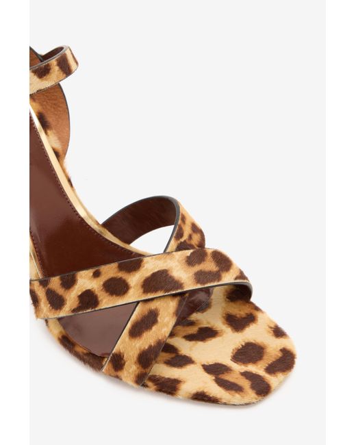 Roberto Cavalli Multicolor Hairy Cheetah Skin Sandals