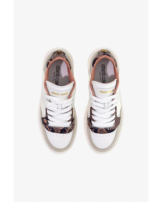 Roberto Cavalli Multicolor Low-Top Sneakers