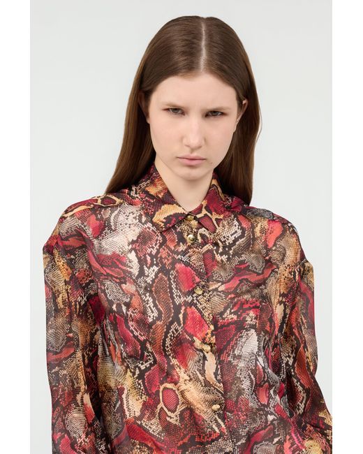 Roberto Cavalli Red Shirt With Python Print