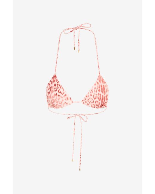 Roberto Cavalli Pink Jaguar Print Bikini Top